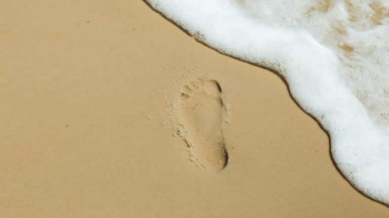 digital footprint analysis