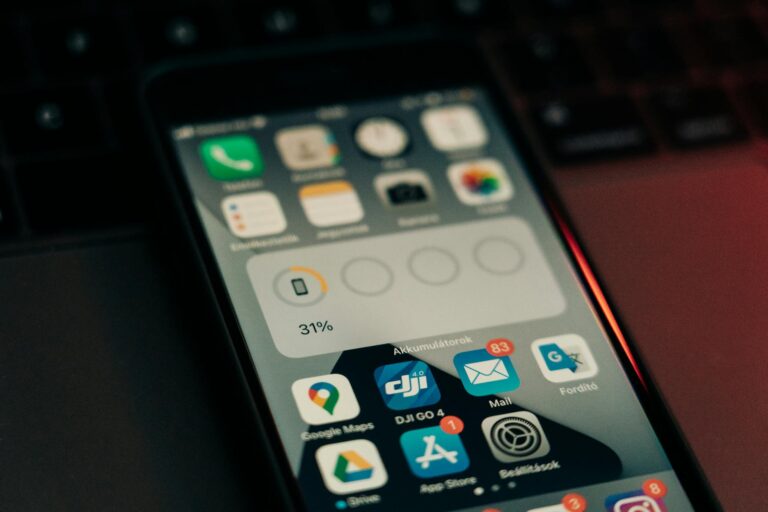 flutter app development