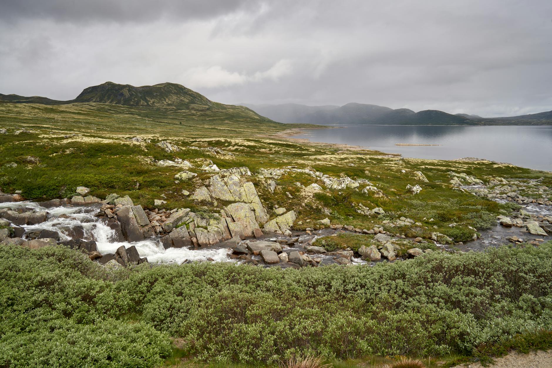 Sámi landscape