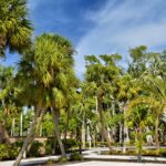 Southwest Florida coastline