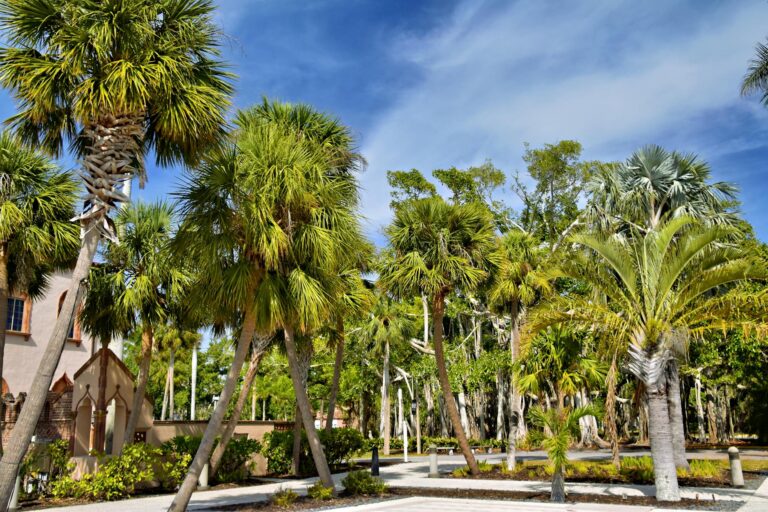 Southwest Florida coastline