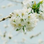 woody floral perfume bottle